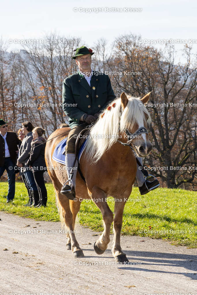LBT24-1584 | foto-bettina-krinner - Realisiert mit Pictrs.com