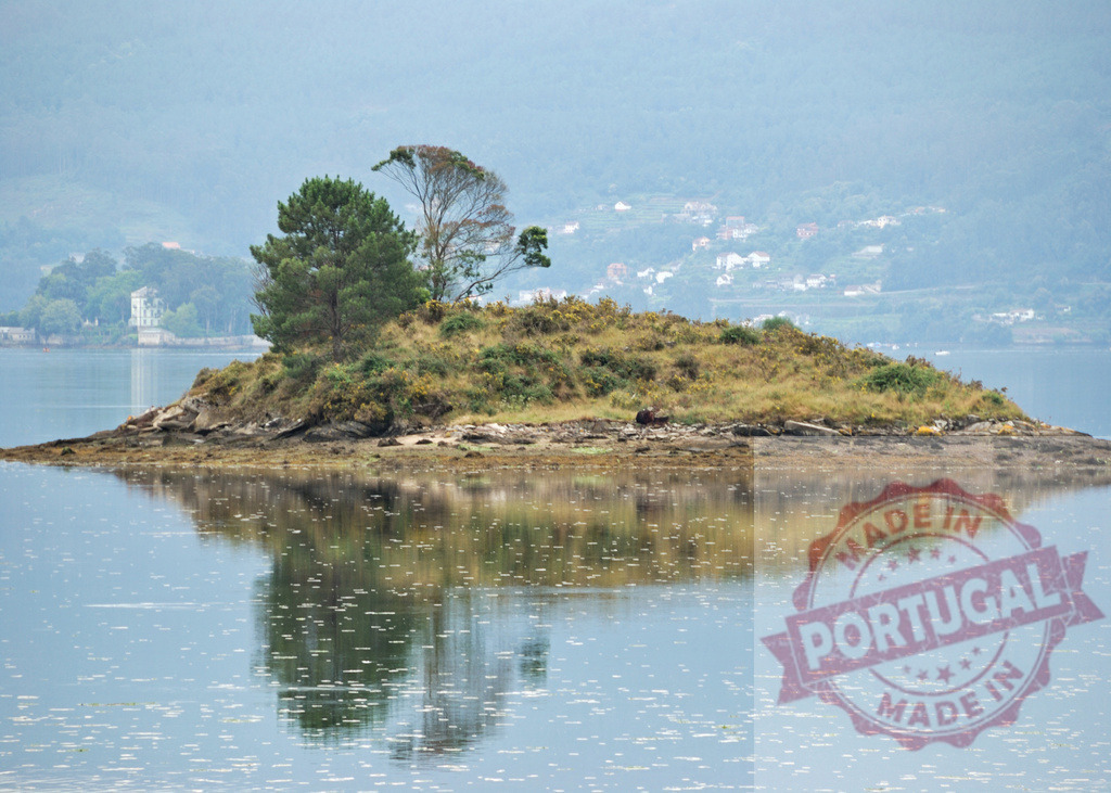 Small island reflecting in still bay water. Galicia - Spain | Small island with trees and vegetation reflecting in tranquil bay water, creating a serene scene - Realized with Pictrs.com