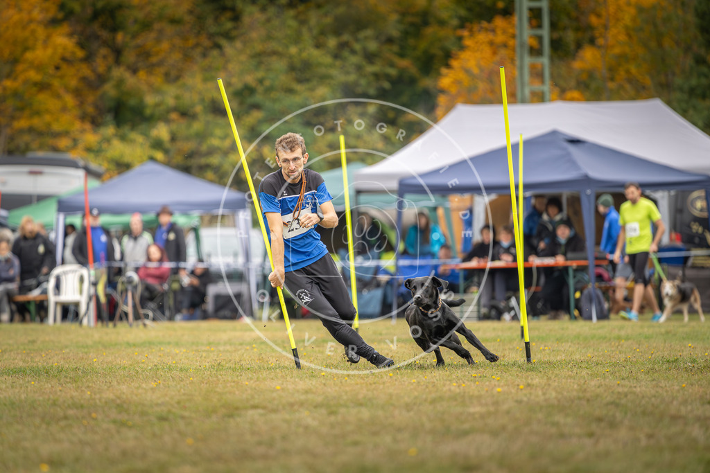 Pfotenfotografie_DV3A5135 | Hundefotografie, Tierfotograf, Pfotenfotografie, Fotoshooting Hund, Hunde Portrait, Hundesport, Hundeportraits, Heideshooting, Hunde, Sportfotograf, Hundefotograf, Turnierhundsport, THS,  - Realisiert mit Pictrs.com