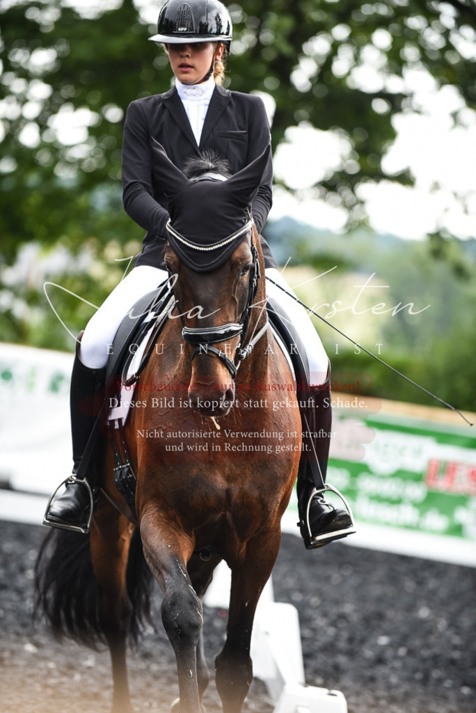 DSC_2937 | Pferde- und Turnierfotografie in Westsachsen. Pferdeportraits, Auftragszeichnungen und intuitive Kunst.
