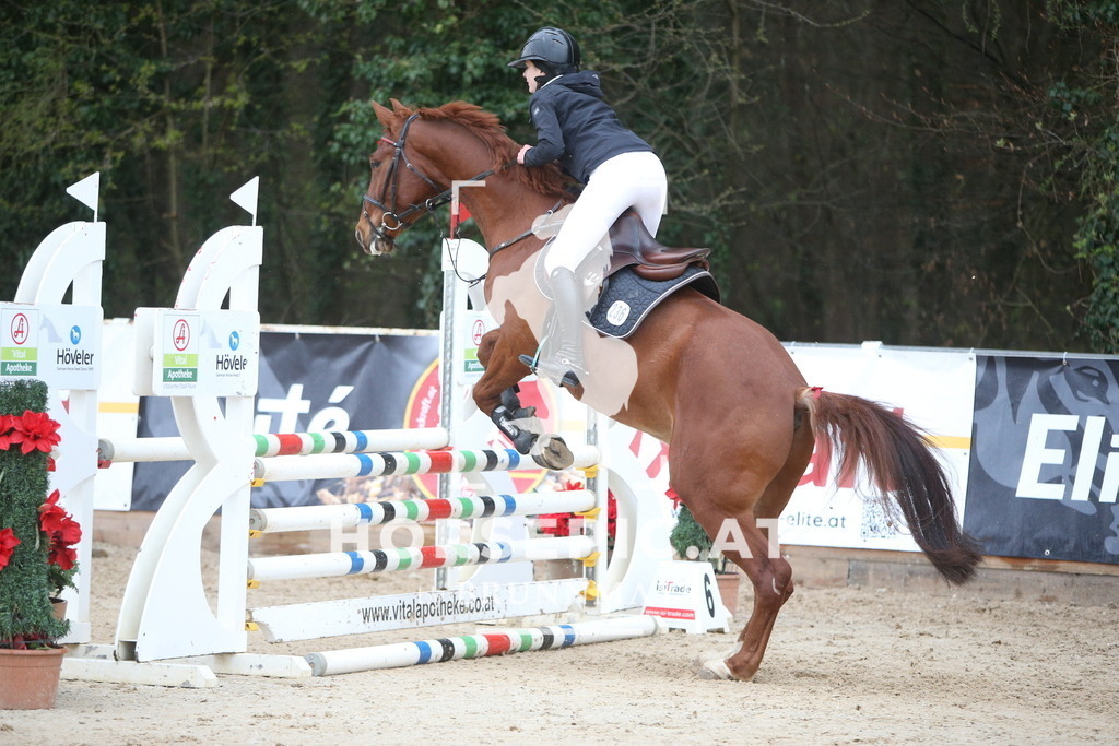 AS8V1696 | Willkommen bei Brunnmayr - Design & Fotografie – Ihrem Spezialisten für Reitturniere und Pferdeveranstaltungen in Oberösterreich, Salzburg und Bayern! Seit über 17 Jahren sind wir leidenschaftlich dabei.