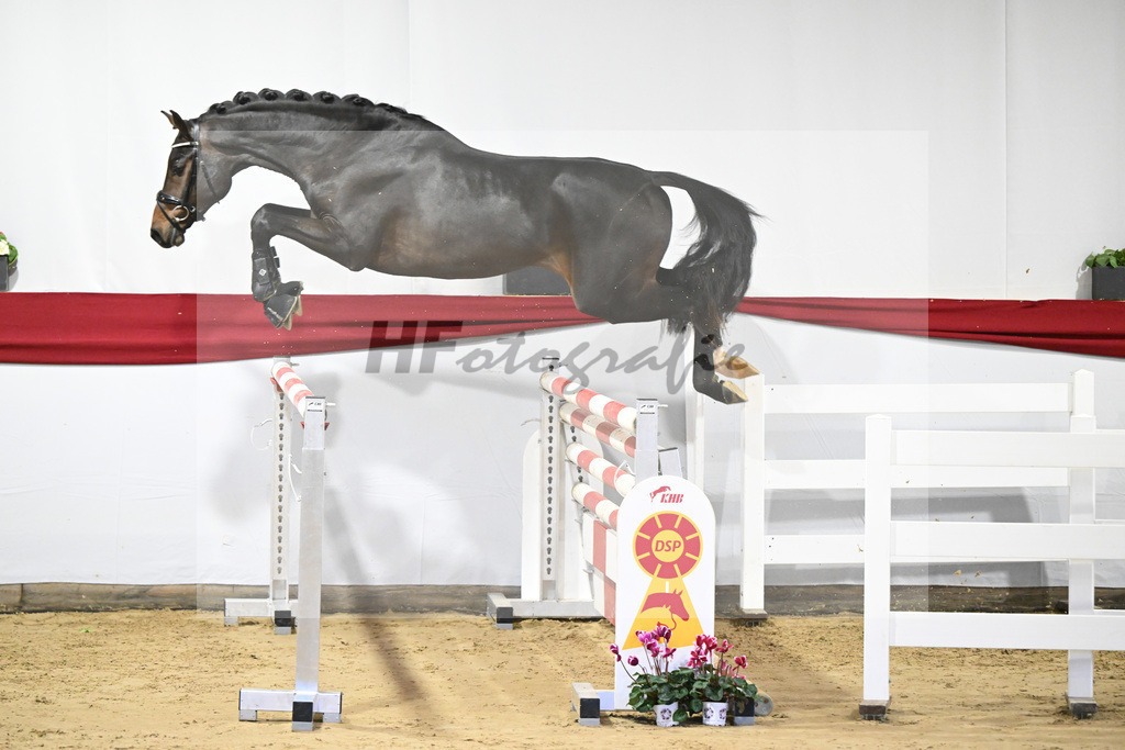 Kat-Nr. 32 v. Uno I_Koegler_63220884 | hf-fotografie - Realisiert mit Pictrs.com