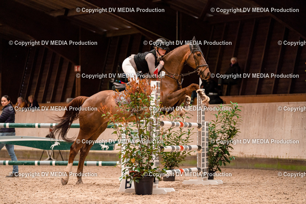 Springen Tag 1-558 | dv-media-shop - Realisiert mit Pictrs.com