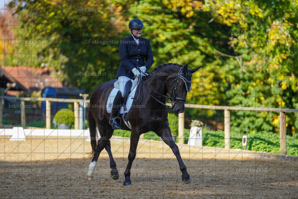20221007-FAH00196 | Diessen am Ammersee, 2022, Dressur- und Springturnier, Reitsportbilder, Turnierfotografen Bayern, Pferdefotografen, Fotoagentur Herrmann, Turnierbilder