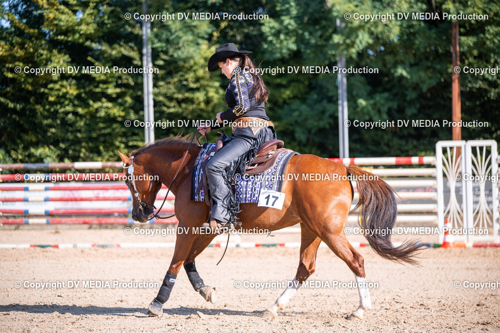 ZS1_0727 | dv-media-shop - Realisiert mit Pictrs.com