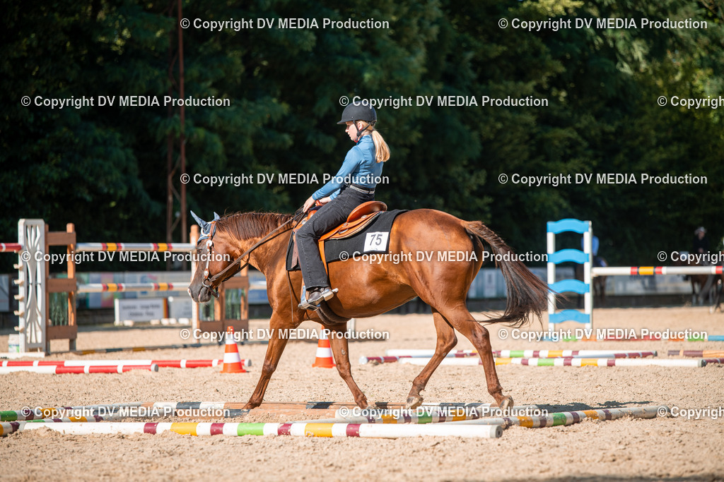 EWP_7000 | dv-media-shop - Realisiert mit Pictrs.com