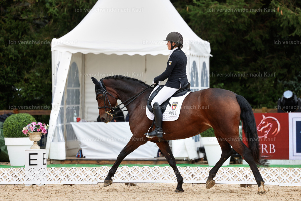 05-011-DRESSUR M_  -StoibPH-4897 | working equitationturnier fotograf videograf stoibphotography marixx film working equitation deutschland reitsport turnierfotografie eventfotografie equestrian events