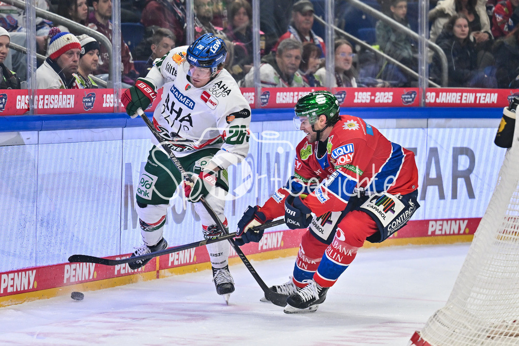 Eisbären Berlin - Augsburger Panther | BERLIN, GERMANY - 04. JANUARY: im Duell Alexander BLANK (Augsburger Panther 26) und Michell REINKE (Eisbären Berlin 5) während dem Match zwischen den Eisbären Berlin und den Augsburger Panthern am 36. Spieltag der Penny DEL in der UBER Arena