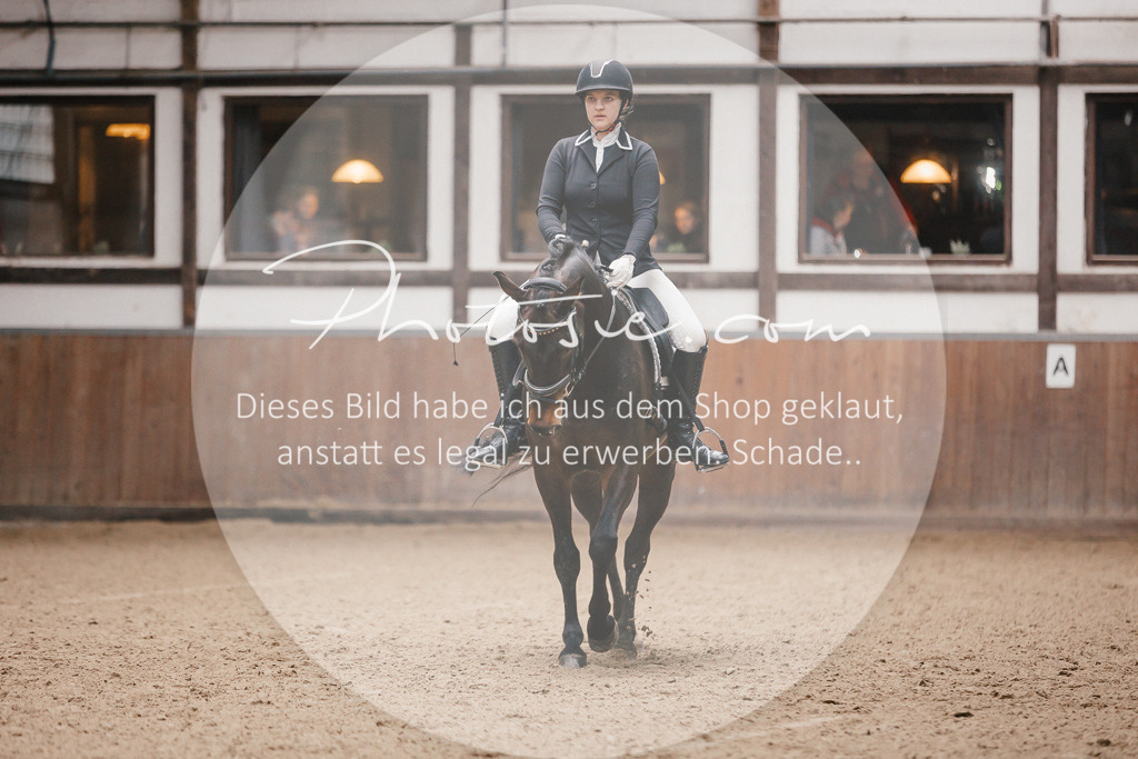 3I6A6619 | Stimmungsvolle Portraits und Reitsportfotografie im Ruhrgebiet und im Münsterland.

Pferdefotografie, Hundefotografie, Tierfotografie, Reportagen, Portraits von Tier und Mensch, Turnierfotografie in Bochum, Recklinghausen, Marl, Haltern am See, Dülmen.. - Realisiert mit Pictrs.com