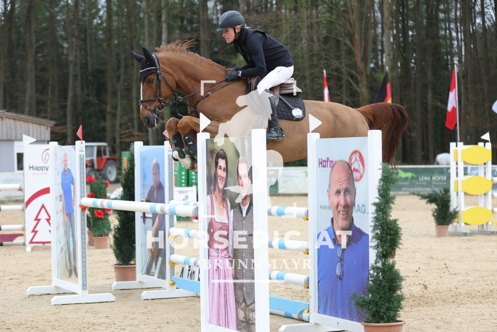 0P6A3530 | Willkommen bei Brunnmayr - Design & Fotografie – Ihrem Spezialisten für Reitturniere und Pferdeveranstaltungen in Oberösterreich, Salzburg und Bayern! Seit über 17 Jahren sind wir leidenschaftlich dabei.