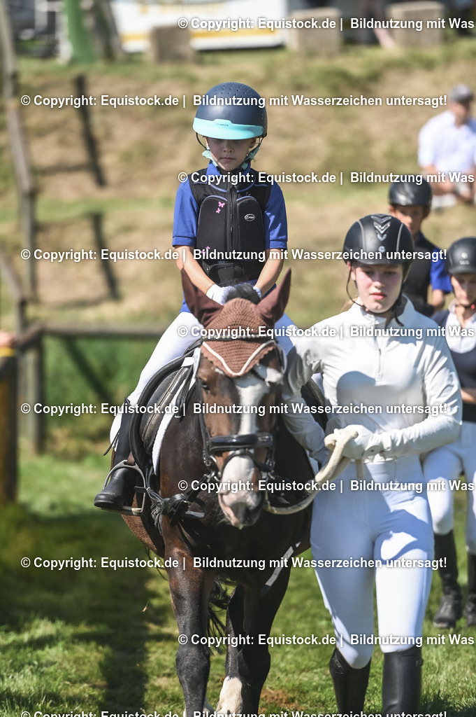 20230910_11-3_Führzügel-WB_0091 | Foto: Thomas Hartig