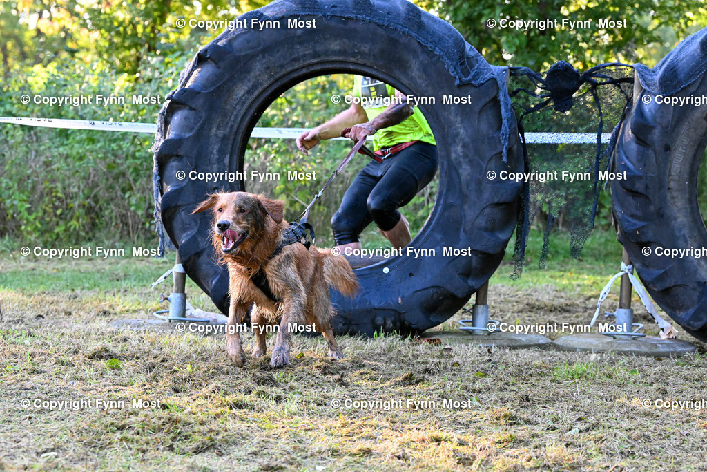 DSC_4924 | Hallo und herzlich Willkommen auf meiner Shop-Seite Fynn Most.

Ich wünsche Dir viel Spaß beim stöbern durch die Bilder, wenn Du Fragen hast oder Bilder vermisst, kannst du mir gerne eine Nachricht schreiben. - Realisiert mit Pictrs.com