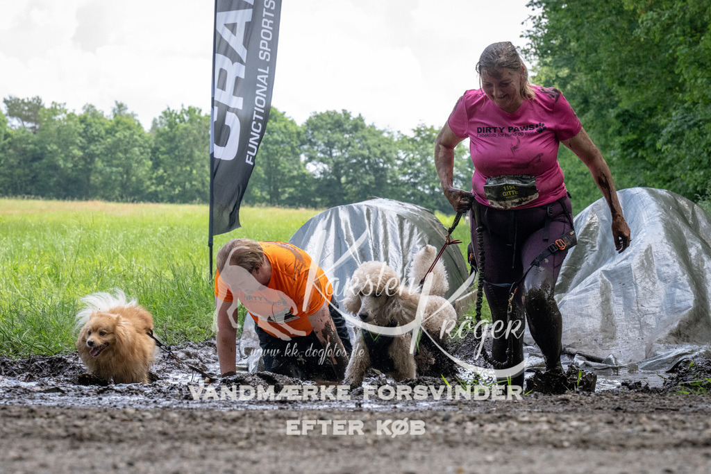 1143_ZZ94231 | kk-dogfotos