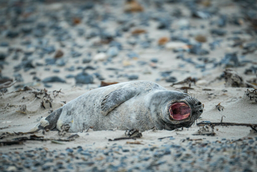 CF8826EC-9511-4A49-B241-D84646690037 | <meta name="keywords" content="Bergbilder, Hochzeitsfotografie, Actionshootings, Fotografiearbeiten, Berglandschaften, Naturfotografie">

 - Realisiert mit Pictrs.com