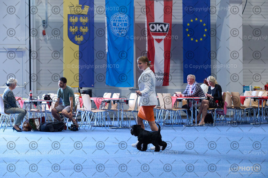 202406_ÖKV-IHA-Tulln24_DSC_4725 | proPHOTO - Realisiert mit Pictrs.com