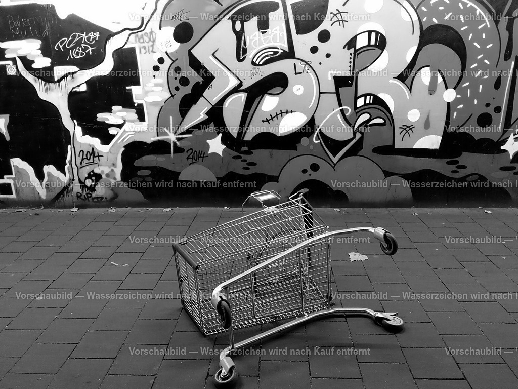 Einkaufswagen | online Fotogalerie mit schwarz-weiß Fotografien und Shop für zeitlose  Poster und Leinwände in stilvollem schwarz weiß  - Realisiert mit Pictrs.com