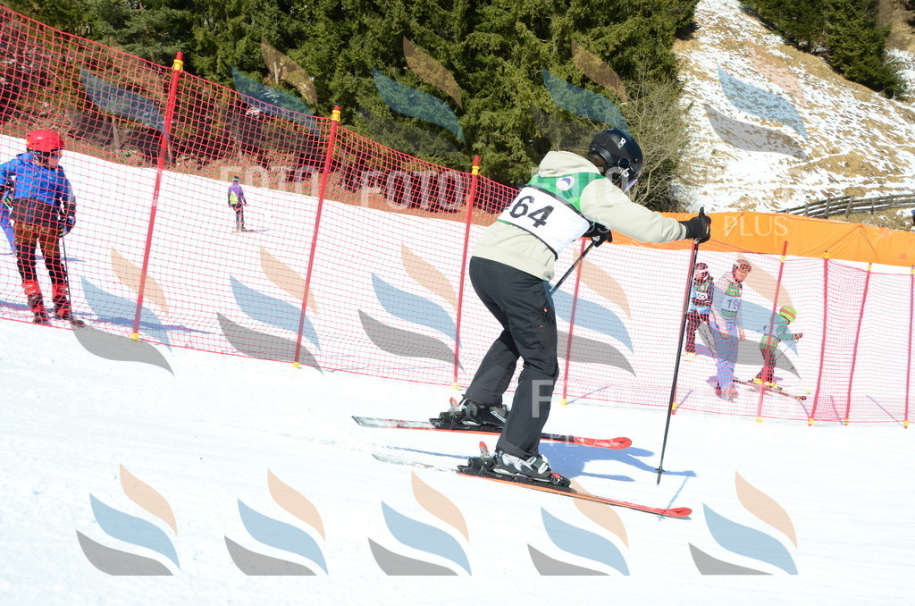 C6236 | holidayphoto