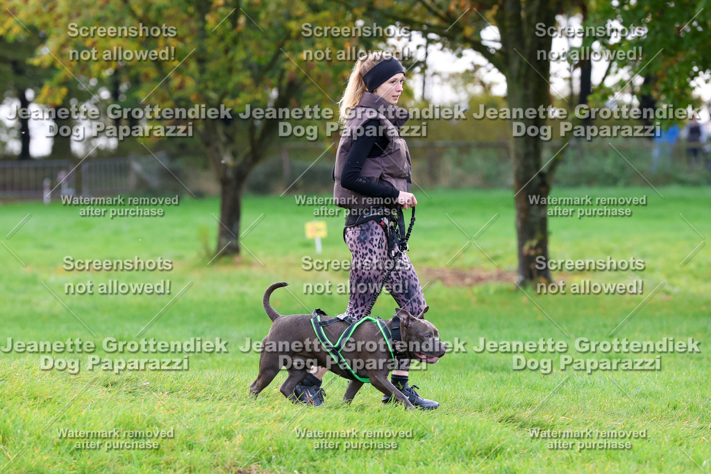 Dog Paparazzi -  SD1026-2229 | Dog Paparazzi Jeanette Grottendiek Fotografie & Videografie - Realisiert mit Pictrs.com
