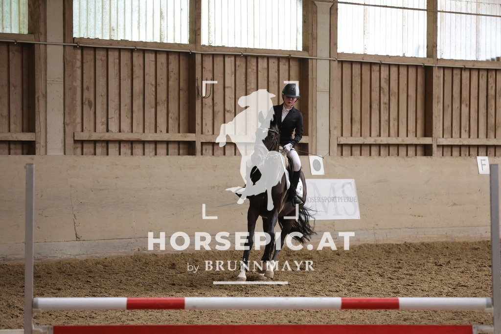 0P6A1257 | Willkommen bei Brunnmayr - Design & Fotografie – Ihrem Spezialisten für Reitturniere und Pferdeveranstaltungen in Oberösterreich, Salzburg und Bayern! Seit über 17 Jahren sind wir leidenschaftlich dabei.