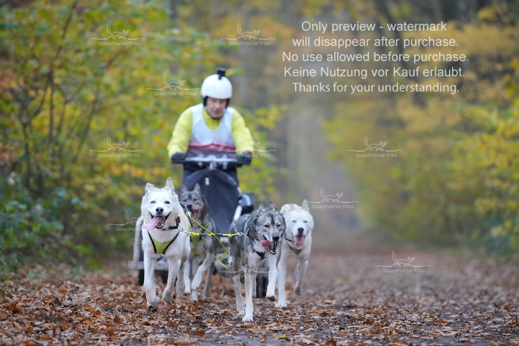 Rigs4bis8So-48 | stephaniefillaphotographie - Realisiert mit Pictrs.com