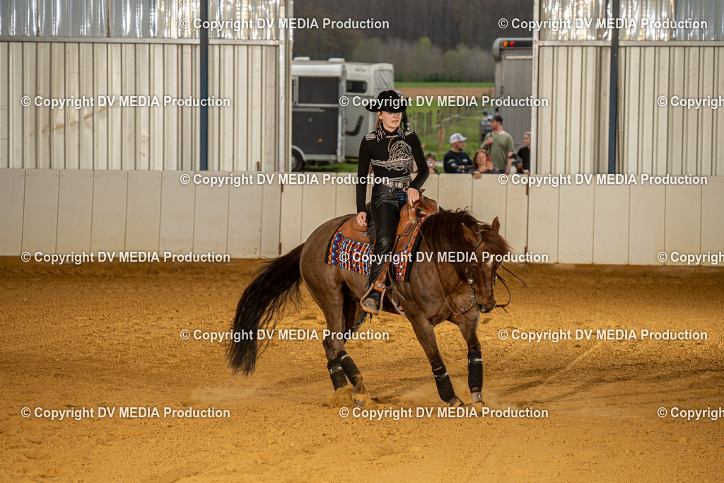 MIT00534 | dv-media-shop - Realisiert mit Pictrs.com