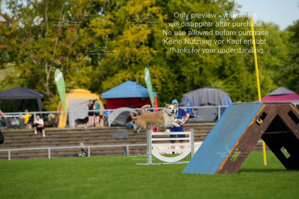 Samstag_CSC (1901 von 2023) | stephaniefillaphotographie - Realisiert mit Pictrs.com