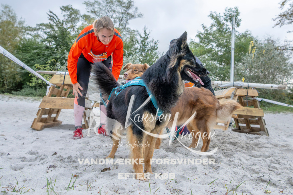 1123_ZZ96423 | kk-dogfotos