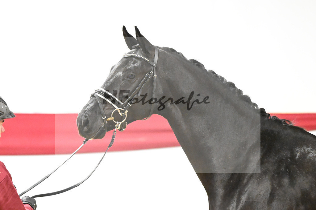 Kat-Nr. 58 v. Donier_Heilemann_63221769 | hf-fotografie - Realizzato con Pictrs.com