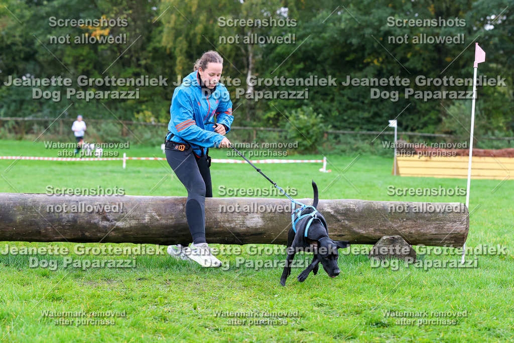 Dog Paparazzi -  SD1026-1885 | Dog Paparazzi Jeanette Grottendiek Fotografie & Videografie - Realisiert mit Pictrs.com