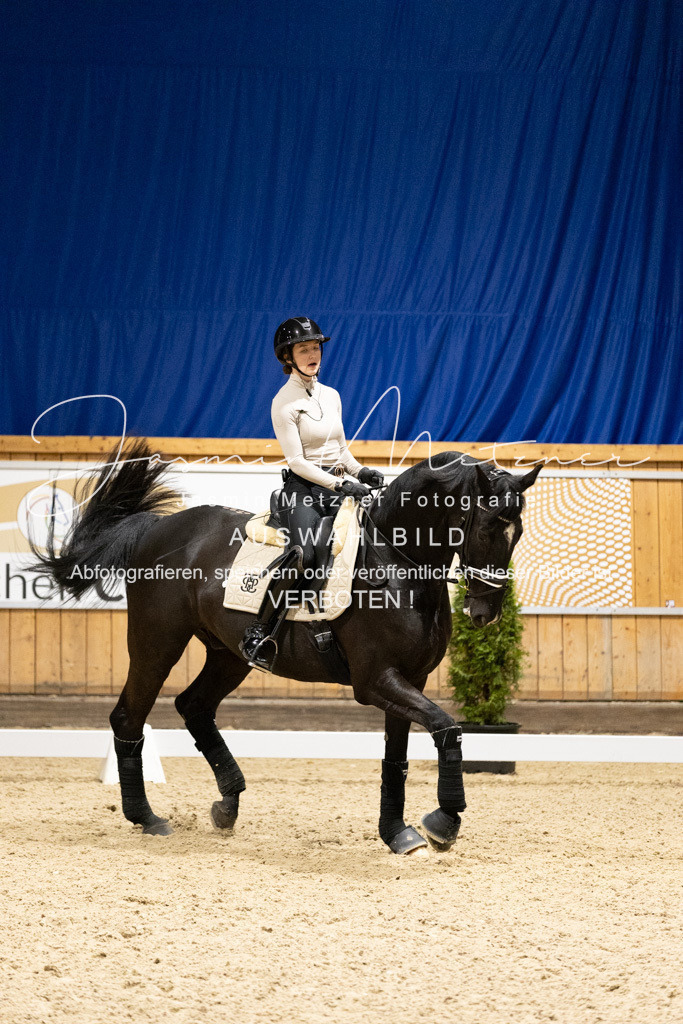 126A6650 | jasminmetznerfotografie