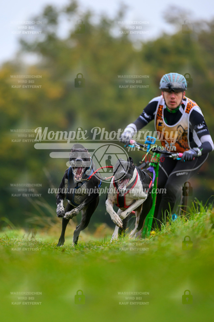 MompixPhotography_CDLBDB2025_DI_DS-1 | PayLife