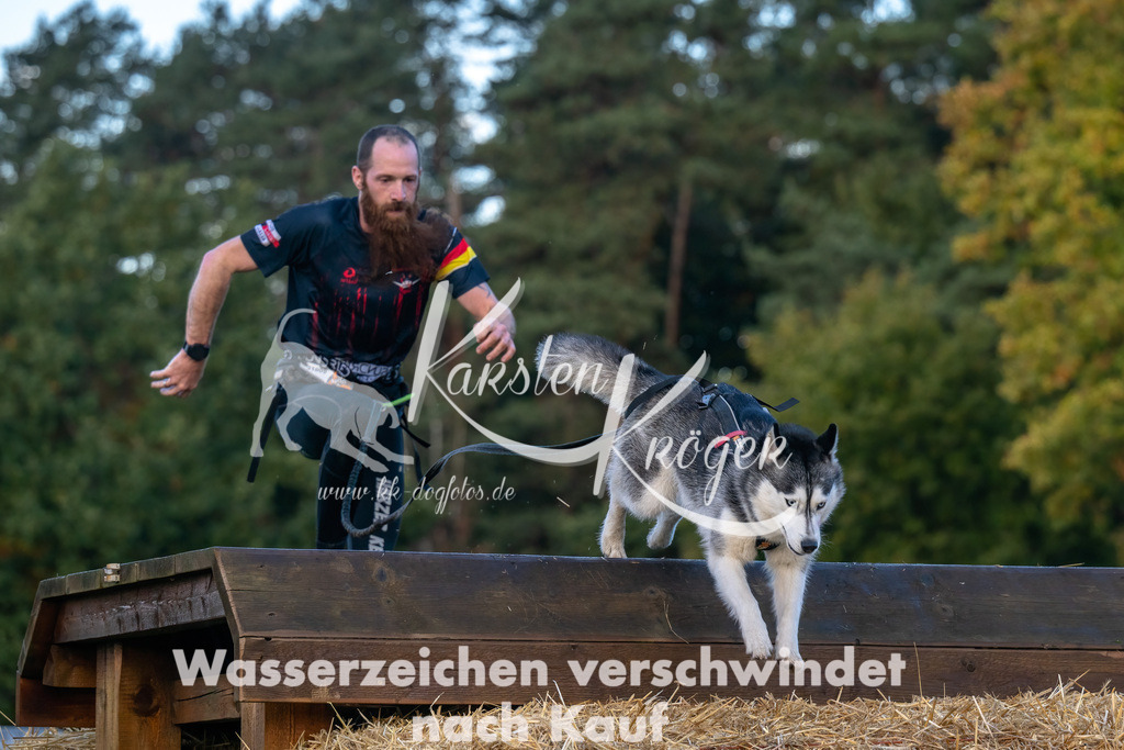 0841_ZZ91178-Bearbeitet | kk-dogfotos