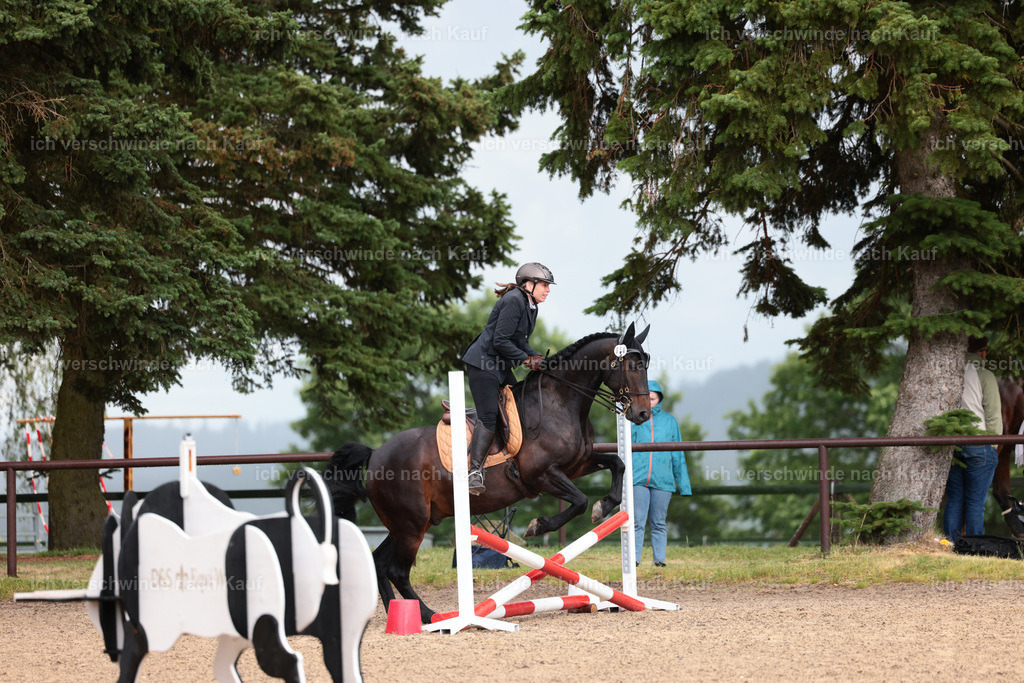 KlasseL_Stoibphotography_CAM23342.JPG | working equitationturnier fotograf videograf stoibphotography marixx film working equitation deutschland reitsport turnierfotografie eventfotografie equestrian events