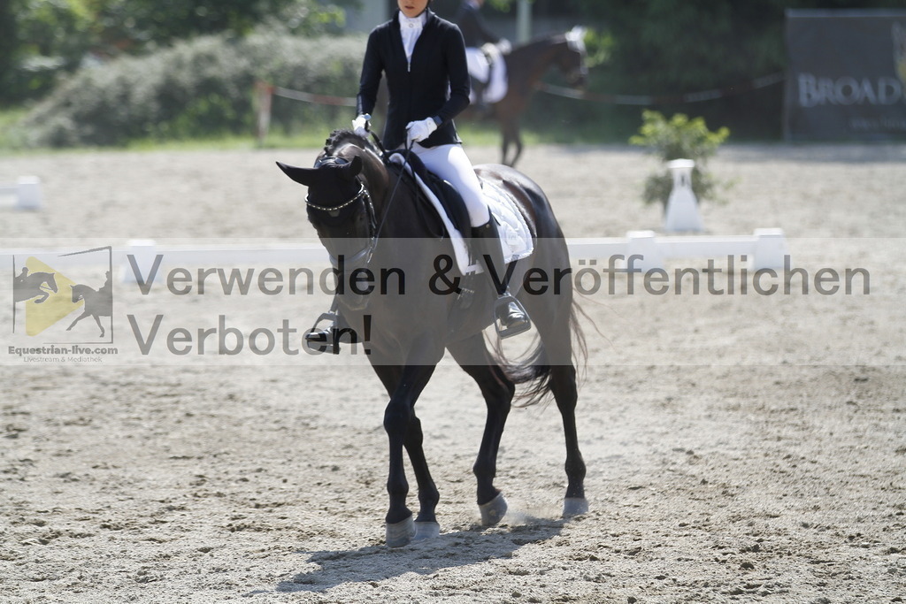_MG_2002 | equestrian-live-com