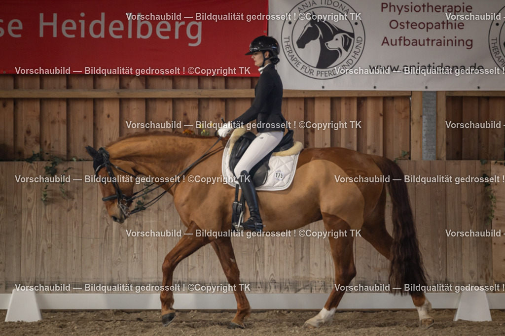 _D5A2821 | Emotionale Pferde- & People-Fotografie rund um Heidelberg, Leimen & Umgebung. Natürliche Fotos von Pferd, Mensch & Familie. Jetzt Termin sichern!