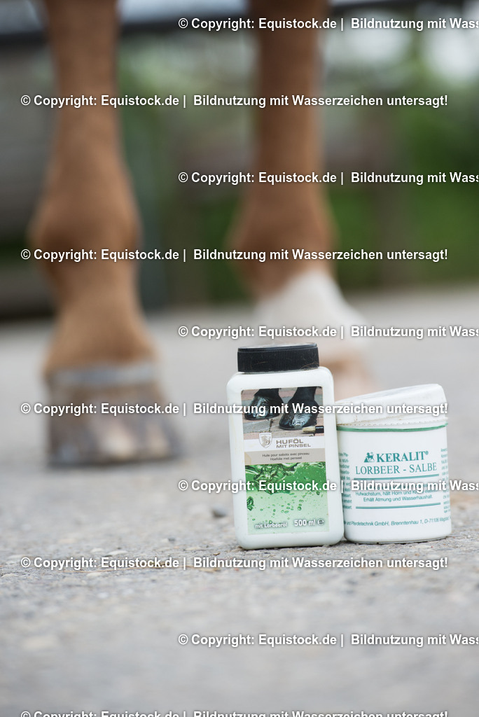 20160626_Hufpflege_0004 | Foto: Thomas Hartig