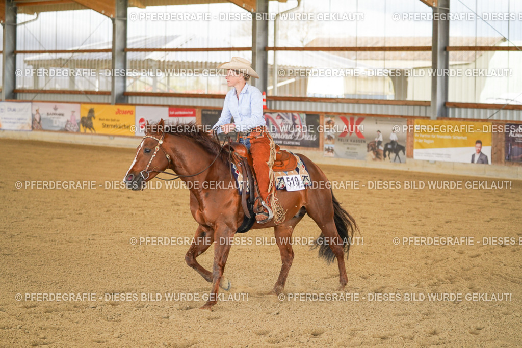 DSC07200 | Pferdegrafie