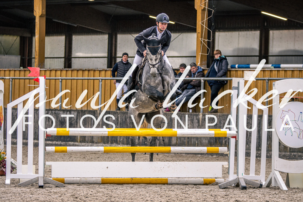IMG_5159 | Erleben Sie dynamische Sport- und emotionale Tierfotografie in Süddeutschland mit Fotos von Paula. Spezialisiert auf Pferde- und Hundefotografie sowie Sportevents. Kontaktieren Sie mich für einzigartige und ausdrucksstarke Bilder Ihrer besonderen Momente. - Realisiert mit Pictrs.com