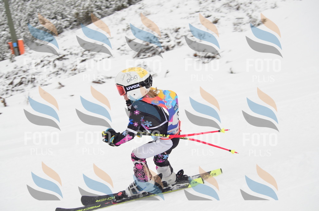 C0535 | holidayphoto