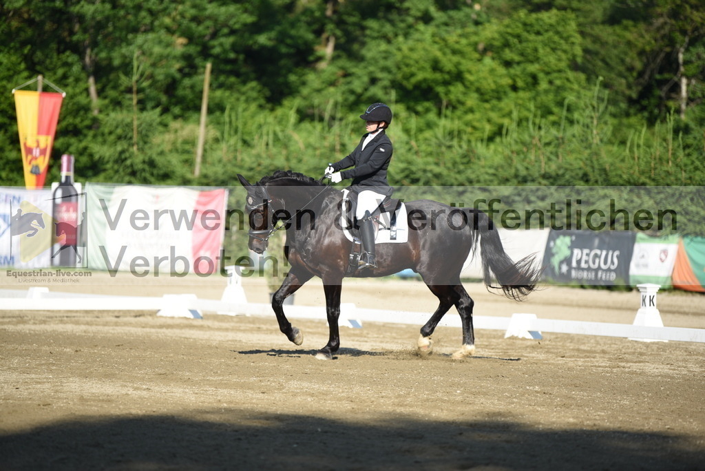 DSC_6875 | equestrian-live-com