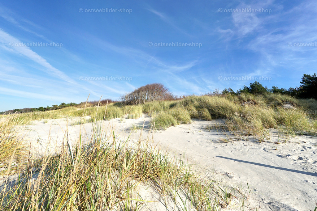 Dünenlandschaft am Weststrand | Der Weststrand befindet sich an der nach Westen ausgerichteten Küste der Halbinsel Fischland-Darss-Zingst. Hier trifft man auf die Wildheit einer den Stürmen ungeschützt ausgesetzten Dünenlandschaft mit feinem, weissen Sand.