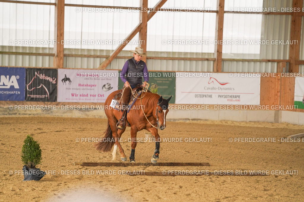 DSC01219 | Pferdegrafie