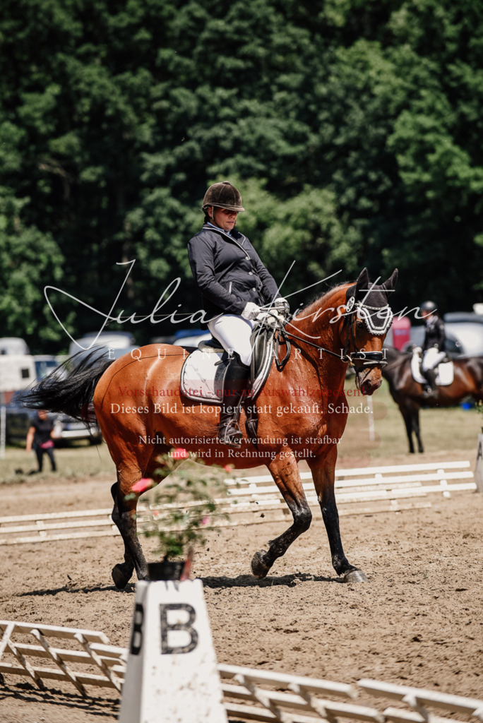 DSC_1998 | Pferde- und Turnierfotografie in Westsachsen. Pferdeportraits, Auftragszeichnungen und intuitive Kunst.