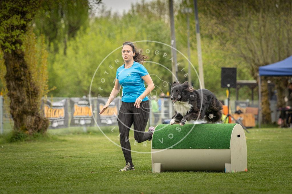 Pfotenfotografie_DV3A2898 | Hundefotografie, Tierfotograf, Pfotenfotografie, Fotoshooting Hund, Hunde Portrait, Hundesport, Hundeportraits, Heideshooting, Hunde, Sportfotograf, Hundefotograf, Turnierhundsport, THS,  - Realisiert mit Pictrs.com