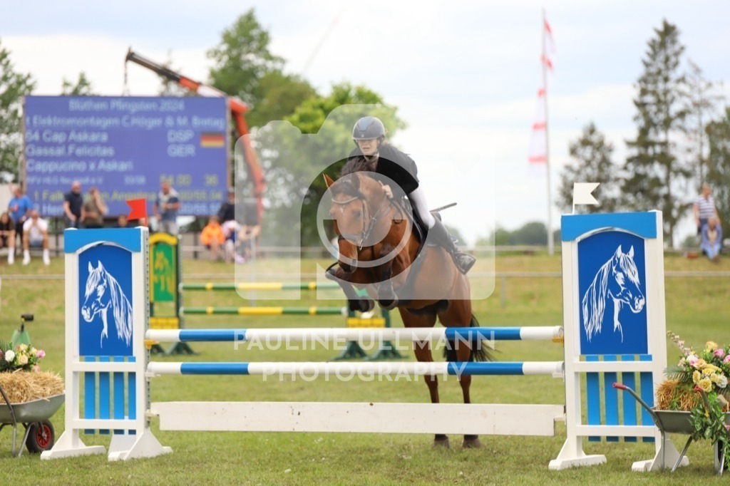 IMG_7365 | Pauline Ullmann Photography - Realisiert mit Pictrs.com