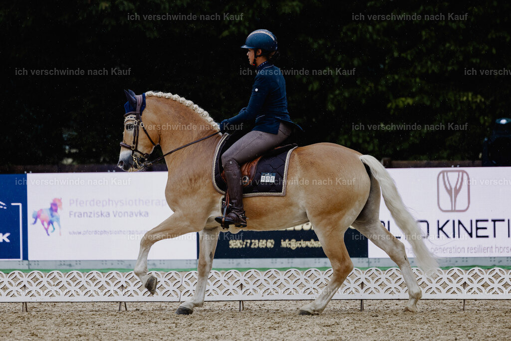 Tanesha5FHC2025-24869 | working equitationturnier fotograf videograf stoibphotography marixx film working equitation deutschland reitsport turnierfotografie eventfotografie equestrian events