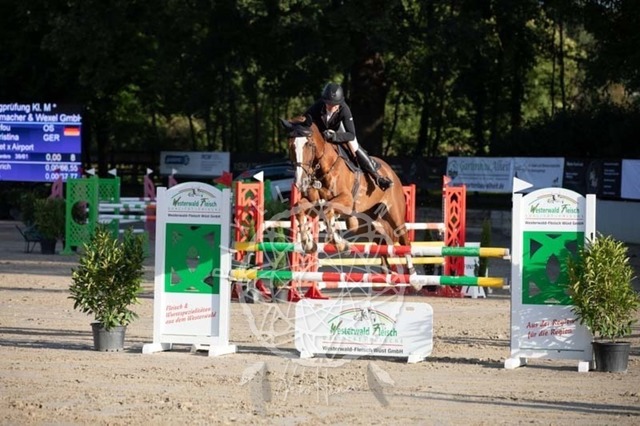 2B4A0953 | pixelfaenger - Realisiert mit Pictrs.com