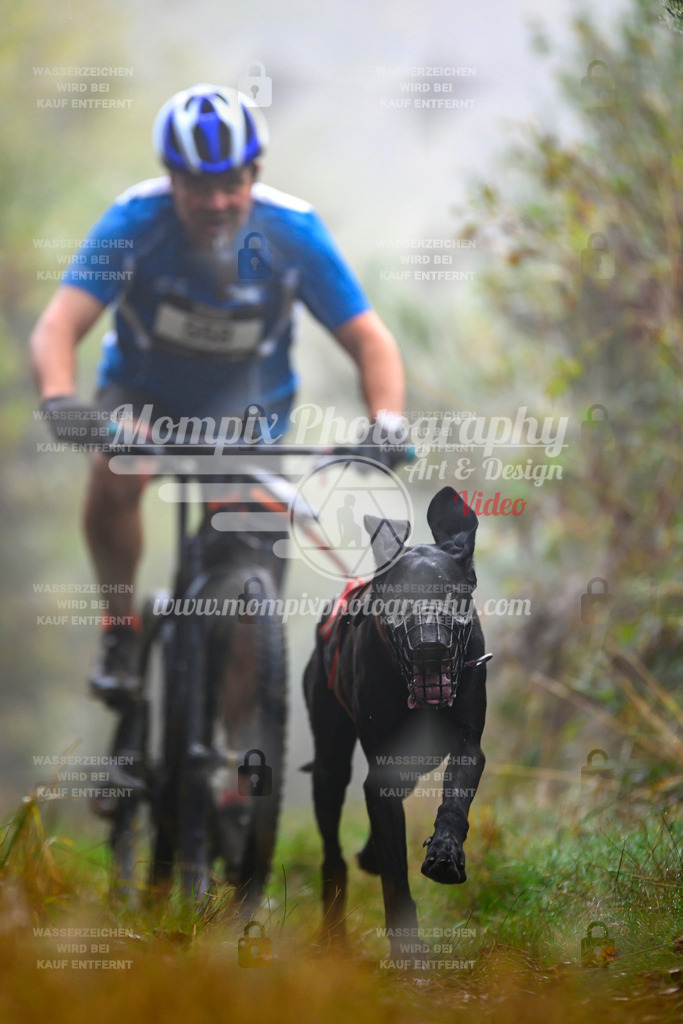 MompixPhotography_20TSB_E4_Bike-50 | PayLife