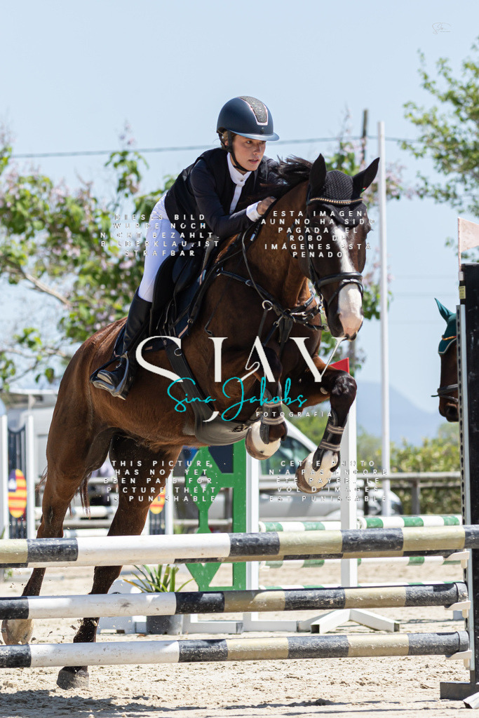 IMG_0489 | s-jay-photography - Realized with Pictrs.com