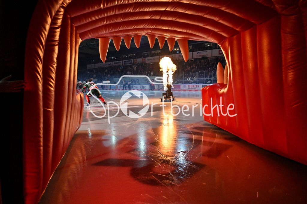 Augsburger Panther - Nürnberg Ice Tigers | Einlauf der Panther / DEL: Augsburger Panther - Nuernberg Ice Tigers, Curt Frenzel Stadion am 06.12.2024